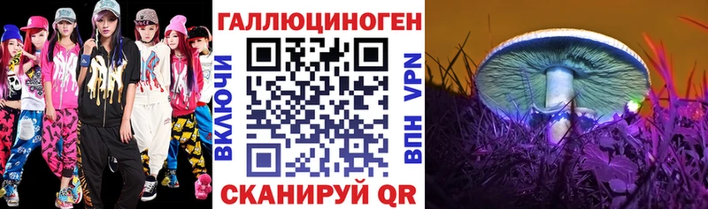 Псилоцибиновые грибы GOLDEN TEACHER  купить   Новомичуринск 
